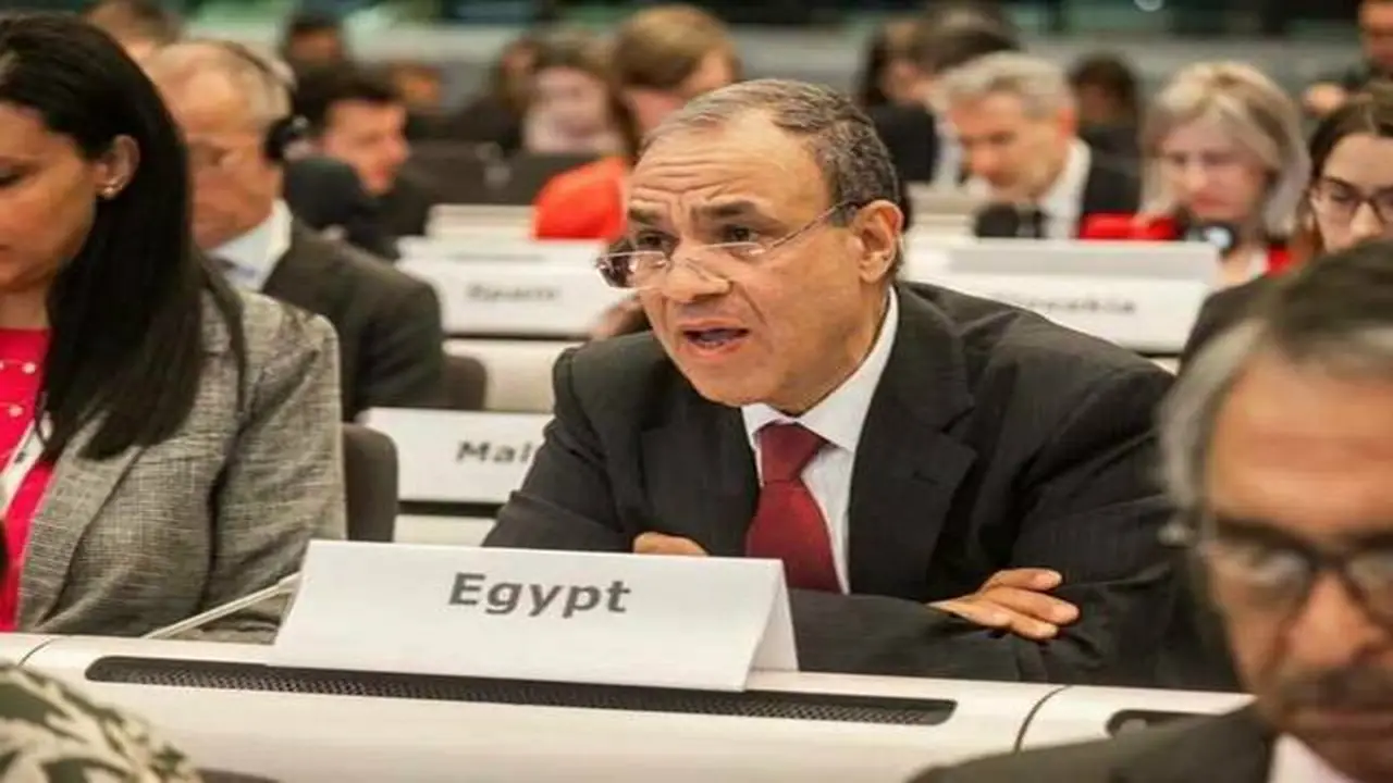 مصر والنمسا يتفقان على دور الدبلوماسية لتخفيف التوترات الإقليمية